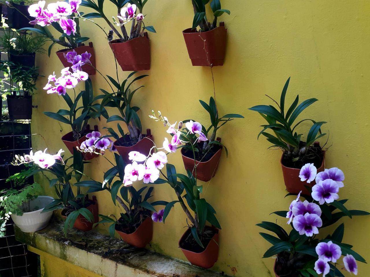 Vivaresidence Homestay Alappuzha 외부 사진