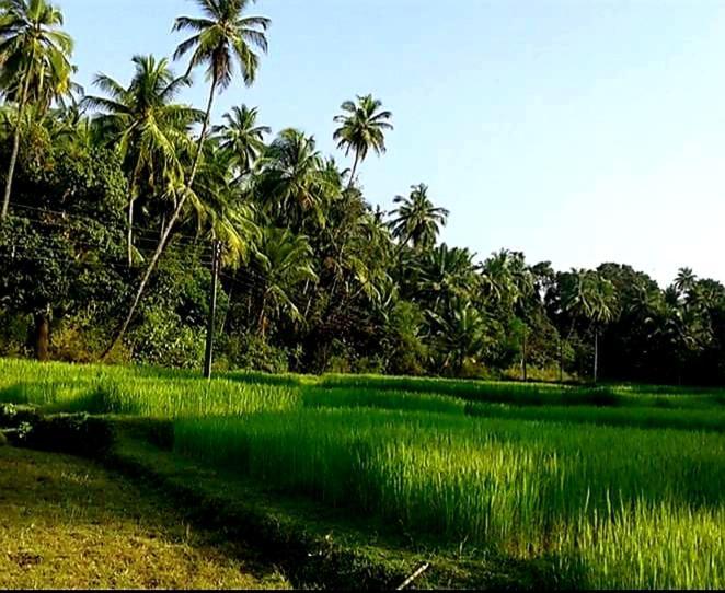 Vivaresidence Homestay Alappuzha 외부 사진